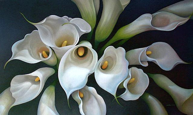 Calla Lillies