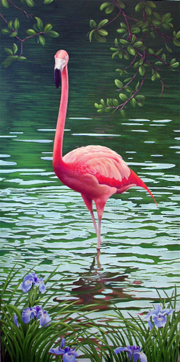 Flamingo
