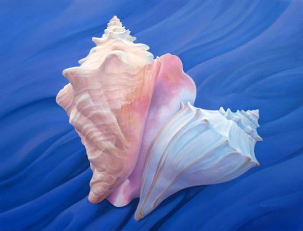 Shells