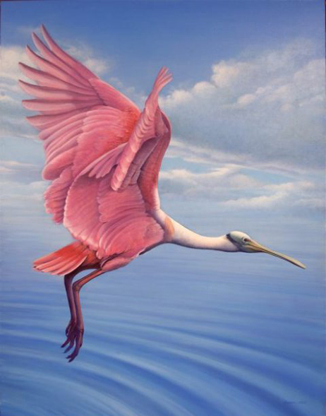 Roseate Spoonbill