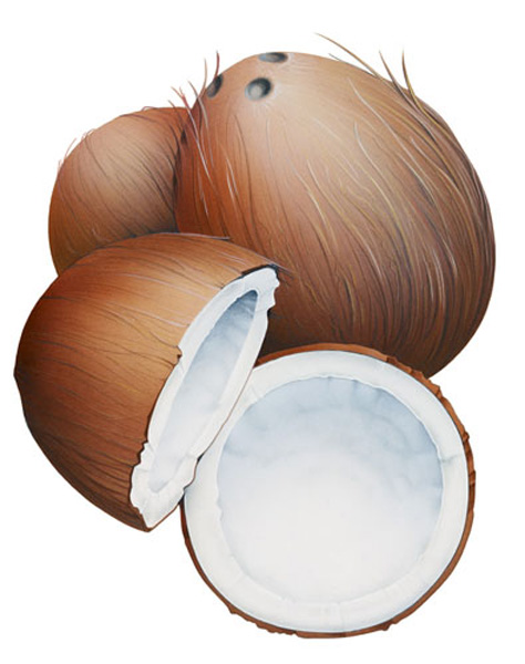 Coconut001