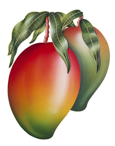 Mango001